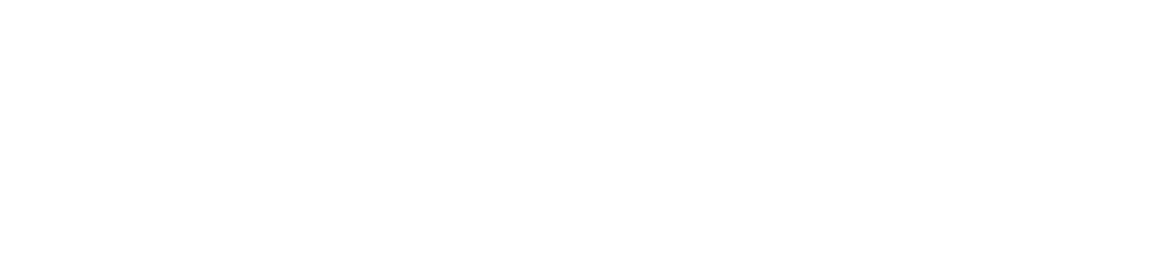 INCO Visa Foundation